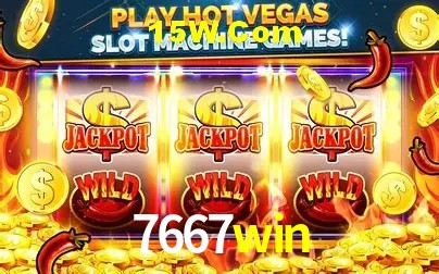 7667win - Login Methods