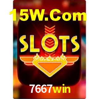 7667win - Installation Guide