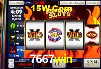 7667win - Security